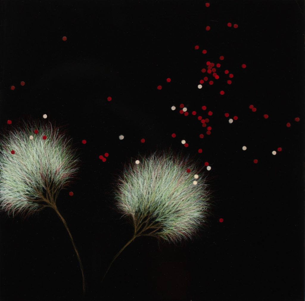 橘  宣郁子  絵画展「Echoes」