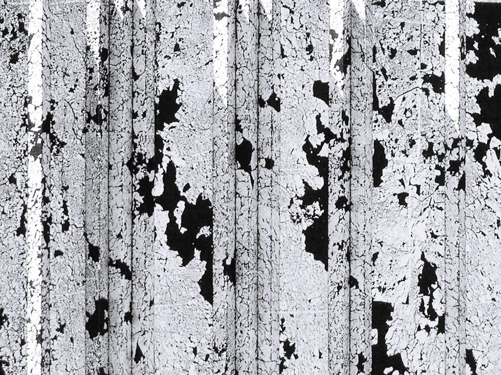 長谷川久恵 展　移ろいゆく